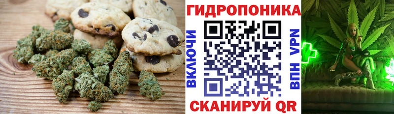 Купить  Козьмодемьянск  Cannafood конопля 